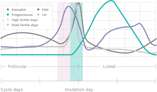Parameters graph